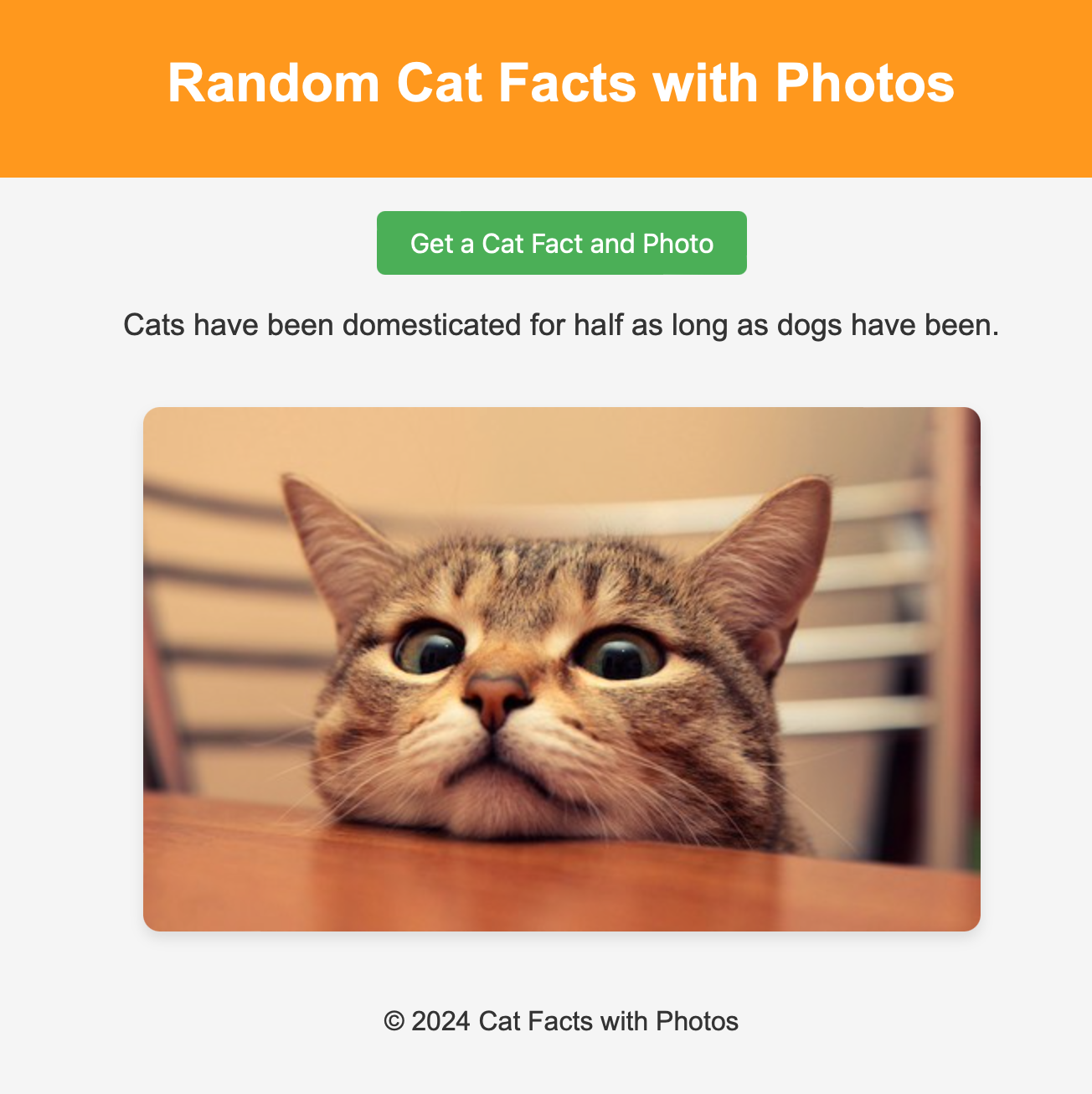 CatFacts